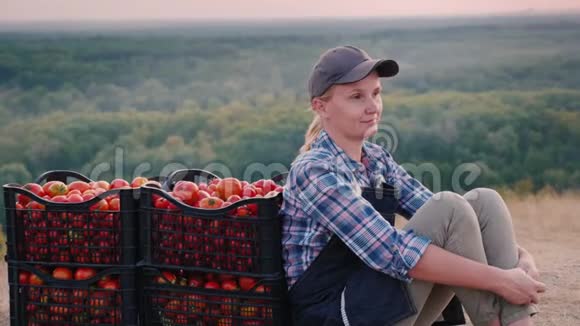 女农民收获番茄后休息视频的预览图