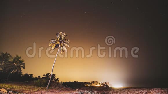 印度果阿真正的夜空之星天然星空背景下的椰树棕榈4K时间流逝视频的预览图