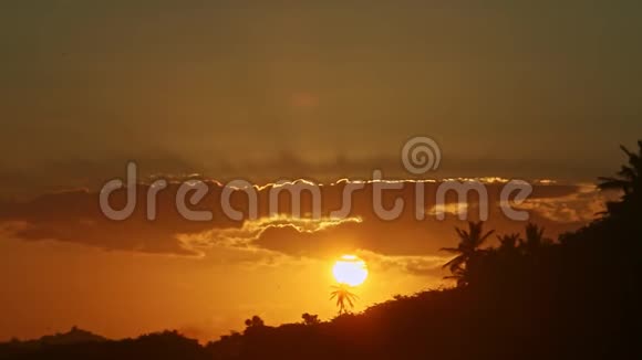黄色的大太阳落在云层后面棕榈树在海滨形成剪影视频的预览图