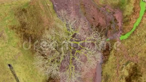 威尔士BreconBeacons国家公园鸟瞰图视频的预览图