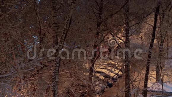 路灯照着白雪覆盖的树木视频的预览图