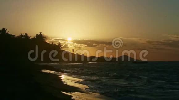 黄色的太阳落在大云后面棕榈树在海滨形成了轮廓视频的预览图