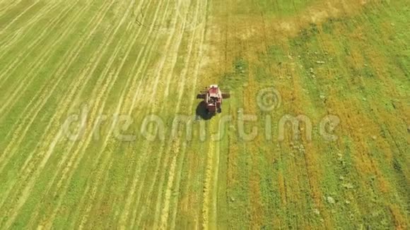 鸟瞰乡村景观联合收割机卡车在田间工作收集种子秋季收获小麦视频的预览图
