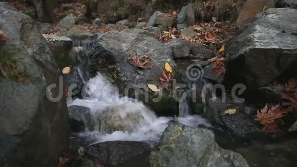 Troodos国家公园秋叶散落的石头间的瀑布视频的预览图