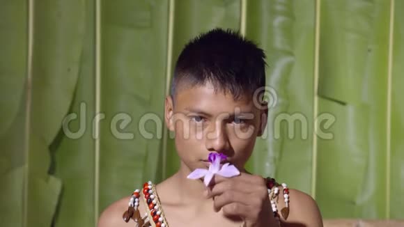 摄影棚拍摄的一个年轻男孩闻一朵花视频的预览图