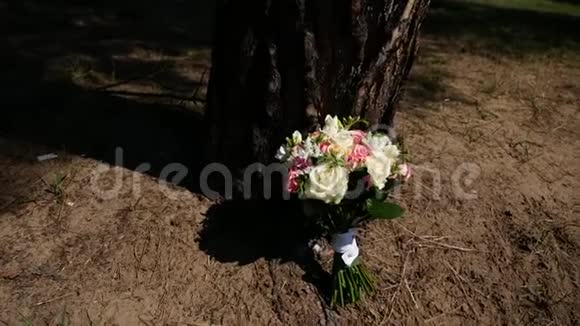 夏天新娘花束在地上的树干附近视频的预览图