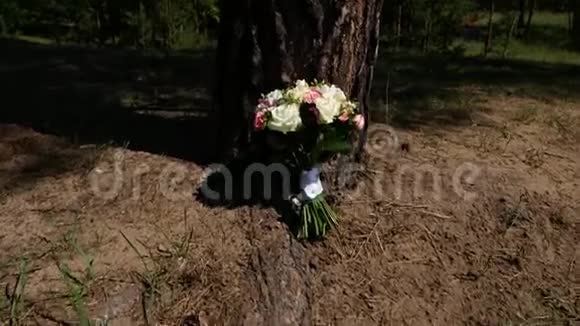 夏天新娘花束在地上的树干附近视频的预览图