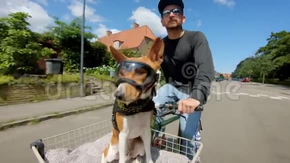 自行车篮子里戴护目镜的可爱小狗视频的预览图
