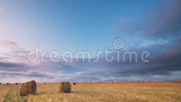 雨前的天空雨云在地平线上田园风光的草地上收获后的海牛视频的预览图