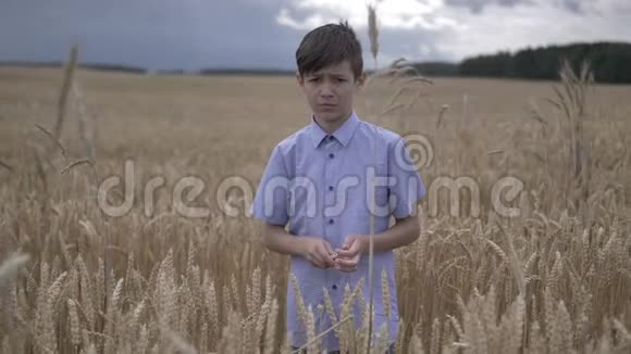 有趣的淘气男孩在镜头前扔麦子视频的预览图
