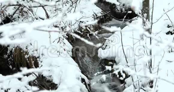 在白雪覆盖的森林里山河流淌视频的预览图