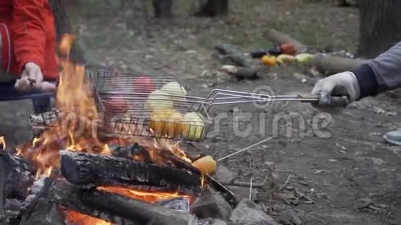 在森林的一根木桩上放食物视频的预览图