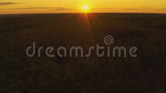 在阳光明媚的夜晚在绿色森林景观之上的日落天空的鸟瞰顶景夏季日出视频的预览图