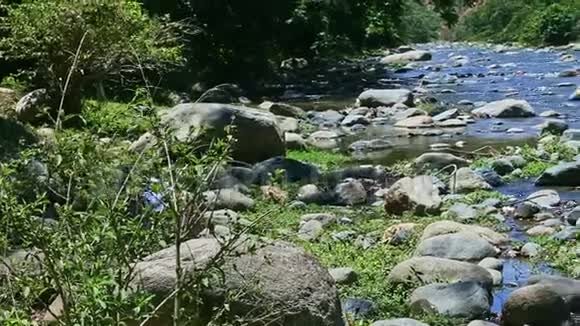 在宽阔的山河里用大石头急流慢慢地尽收眼底视频的预览图