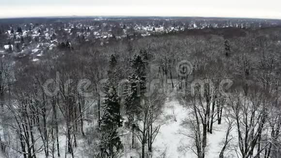 冬季森林和冰冻湖的无人视野视频的预览图