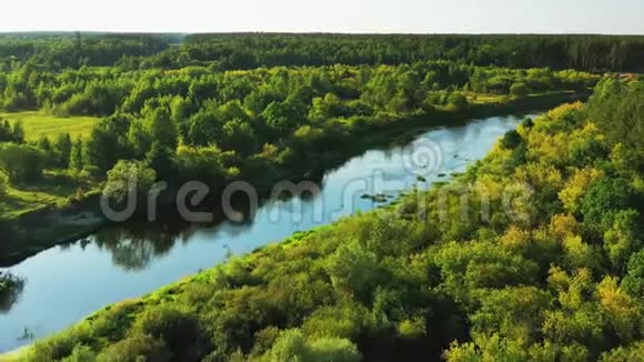 在阳光明媚的夏日鸟瞰绿色森林森林和河流景观从高处俯瞰美丽的欧洲自然视频的预览图