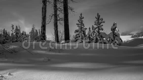 黑白分明的时光在有山的冬林中流逝视频的预览图
