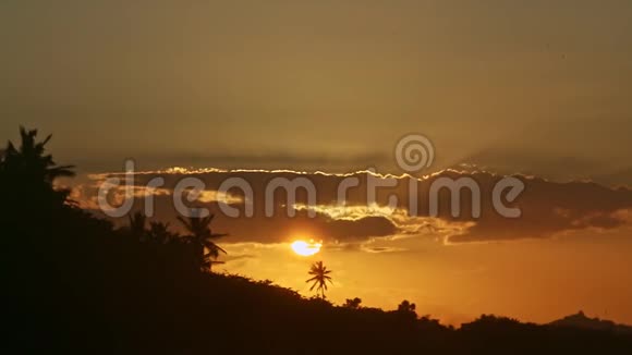 黄色的太阳落在云层后面棕榈树在海岸上形成了轮廓视频的预览图
