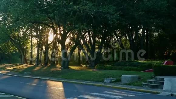 灿烂的夕阳照在热带树枝上视频的预览图