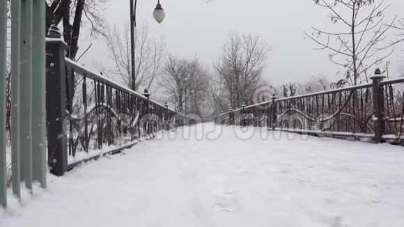 一个在暴风雪中行走的女人视频的预览图