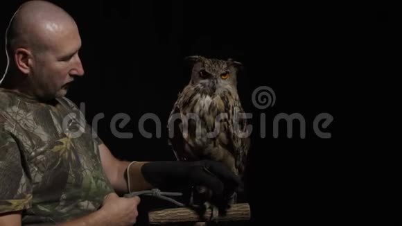 动物驯兽师正在从他的看台上捡起一只灰色的大猫头鹰视频的预览图