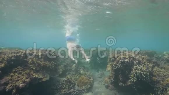 在热带度假时人类正在海底的珊瑚礁上浮潜视频的预览图