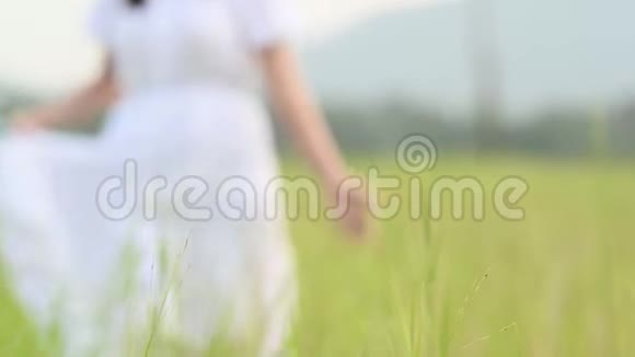 穿着白色衣服的亚洲女人正漫步在辽阔的草原上用手触摸绿草的顶端在草地上散步的女孩视频的预览图