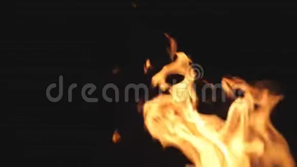 在晚上的营火中燃烧着木头和木炭燃烧着美丽的火焰木柴和煤燃烧视频的预览图