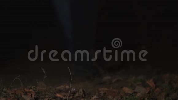 人们的脚在枯草和落叶上行走视频的预览图