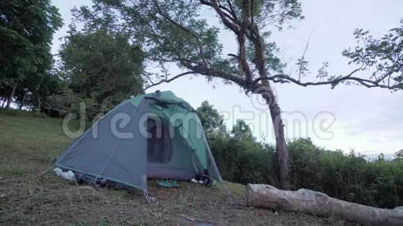 年轻女子醒来在一个宁静的早晨从野营帐篷里出来视频的预览图