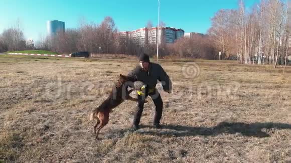 一只受过训练的狗咬紧了牙关在训练者的手臂上视频的预览图