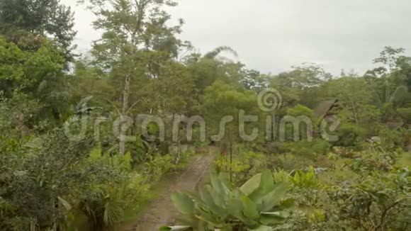 亚马逊雨林土著社区的全景视频的预览图