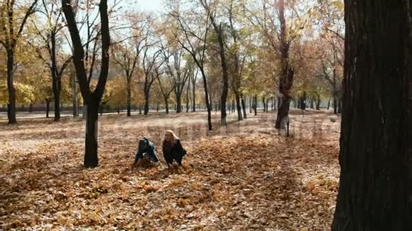 母亲和儿子在一个秋天的公园里收集和挖掘黄色的叶子视频的预览图