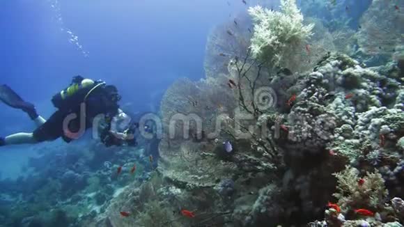 洞穴潜水水下水肺潜水员探索洞穴潜水埃及红海视频的预览图