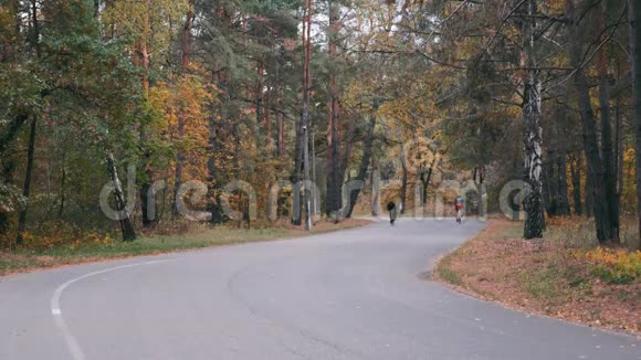 吸引人的动机集中专业自行车骑黑色头盔密集骑在道路自行车在秋季城市公园年轻男性视频的预览图