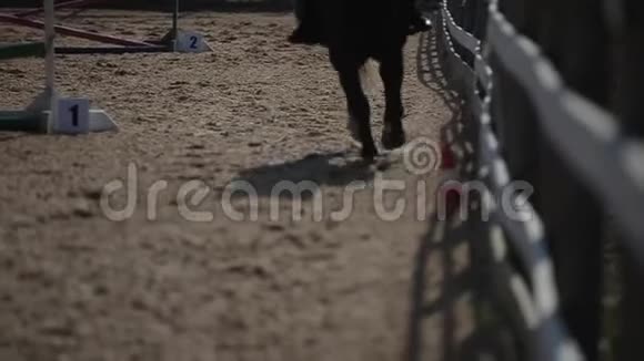 在比赛中马在障碍物上飞驰和跳跃的腿的特写视频的预览图
