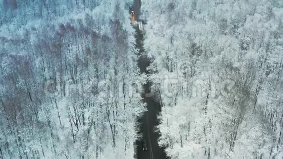 一条穿越冬天白雪覆盖的森林的公路的无人视野视频的预览图