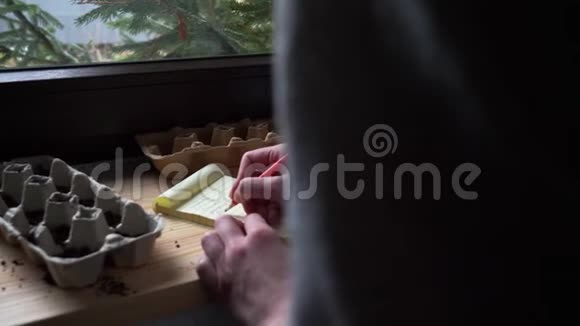 女人在鸡蛋箱里种蔬菜种子视频的预览图