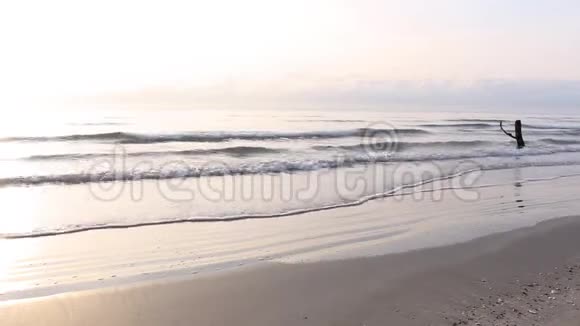 早晨的阳光随着海浪慢慢地拍打着沙滩和岩石海中有苔藓宁静的田园风光视频的预览图