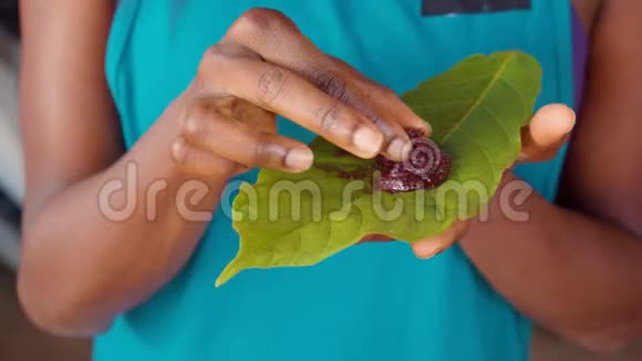 旅游妇女用手在叶子上吃有机可可可糊的细节镜头视频的预览图