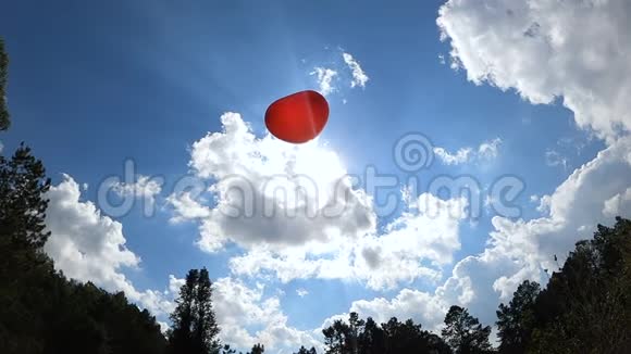 心形的红色气球在春天的花园里飘向天空情人节的爱情象征恋爱中的自由视频的预览图