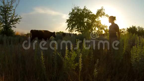 夕阳下一群害羞的女牛仔飞来飞去飞到草地上视频的预览图