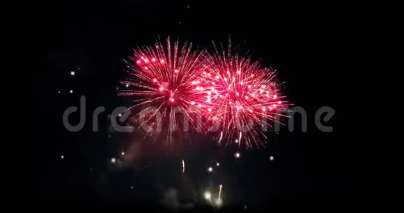 五彩斑斓的抽象闪烁的灯光在黑色背景上闪耀庆祝烟花喜庆的新年视频的预览图