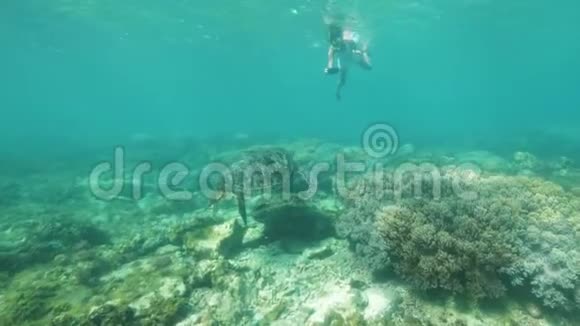 小女孩做水下相机乌龟在水下游泳视频的预览图