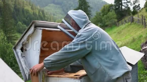 养蜂人和吸烟者在蜂巢工作视频的预览图