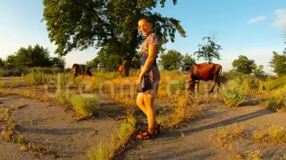 村里的牛仔女孩孩子气的奶牛牧场背景是夕阳炎热的夏天视频的预览图