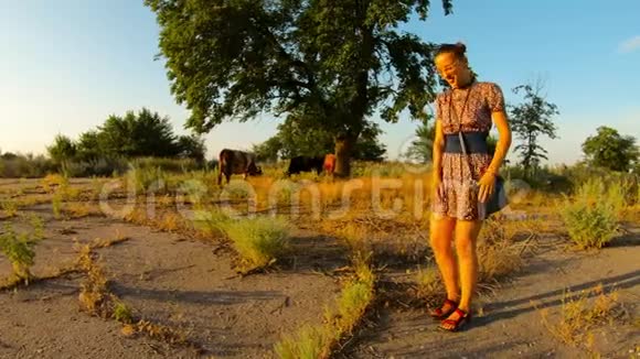 乡村女牛仔在夕阳西下的乡村夏日为奶牛提供牧场视频的预览图