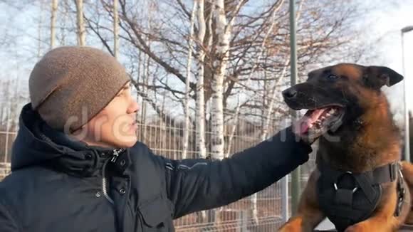 一个驯兽师抚摸他可爱的德国牧羊犬视频的预览图