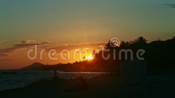 夕阳红下的全景在海岸的棕榈树的映衬下视频的预览图