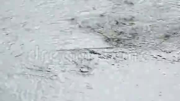 街道上的雨滴视频的预览图
